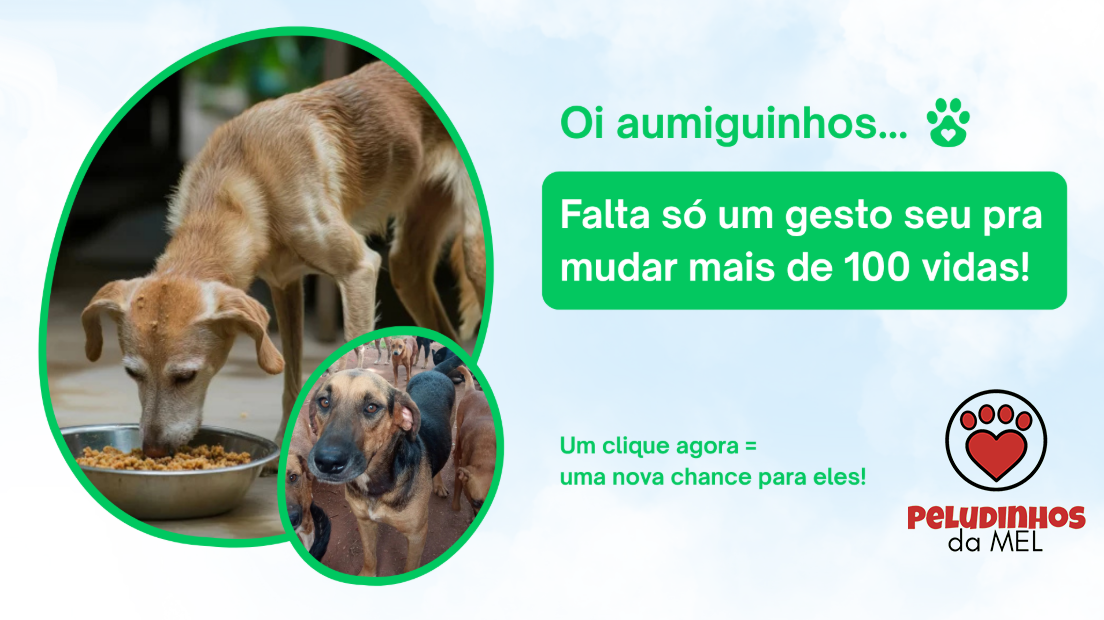 Descrição da imagem